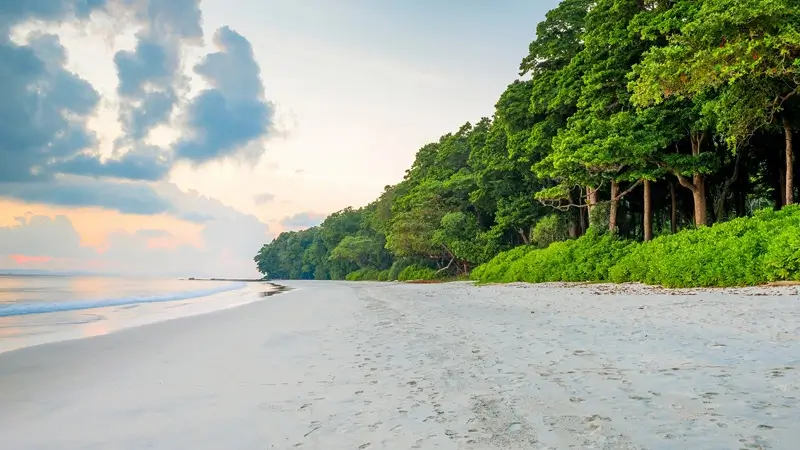 Havelock Island